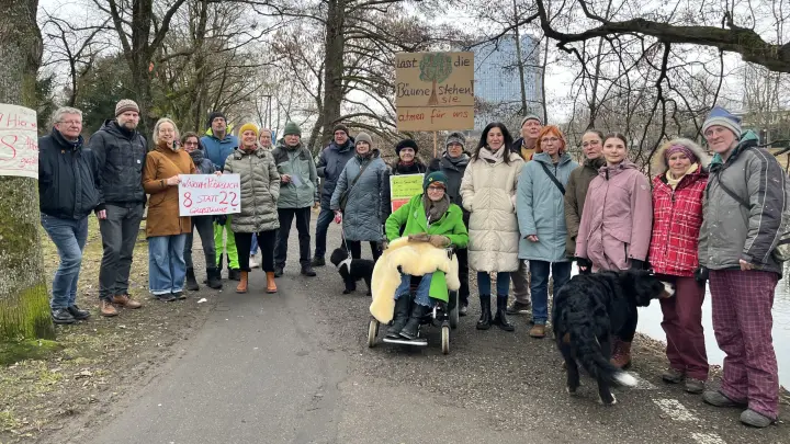 „Schockiert“ über Fäll-Ankündigung für acht Großbäume