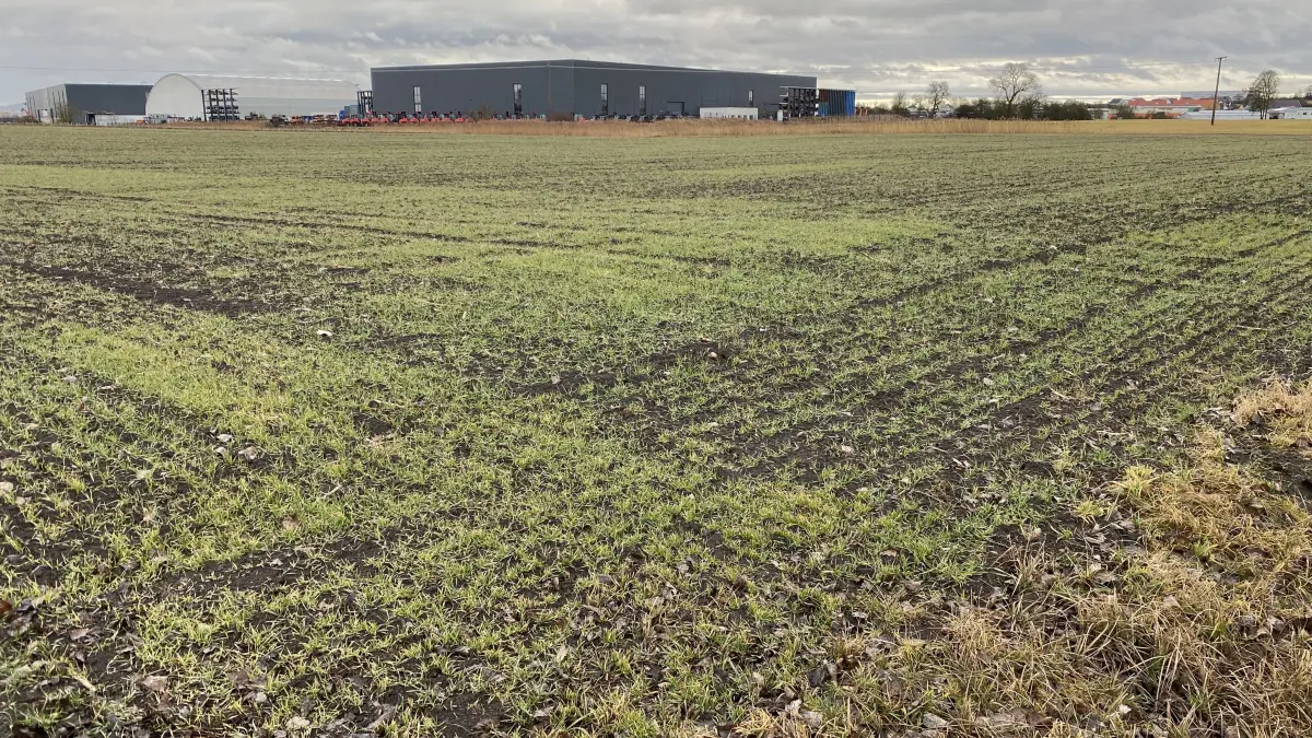 Die Flächen, auf denen das Gewerbegebiet Härtle entstehen soll, werden aktuell noch von den Landwirten bewirtschaftet. Im Hintergrund sieht man die Gebäude im Rotebachring im Gewerbepark Roßfeld.