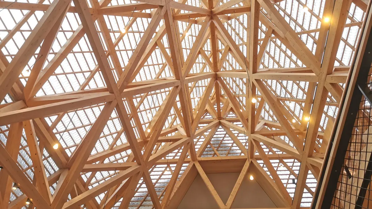 Für das Tragwerk des Reutlinger Glashauses sind Weißtannen aus dem Schwarzwald verwendet worden.