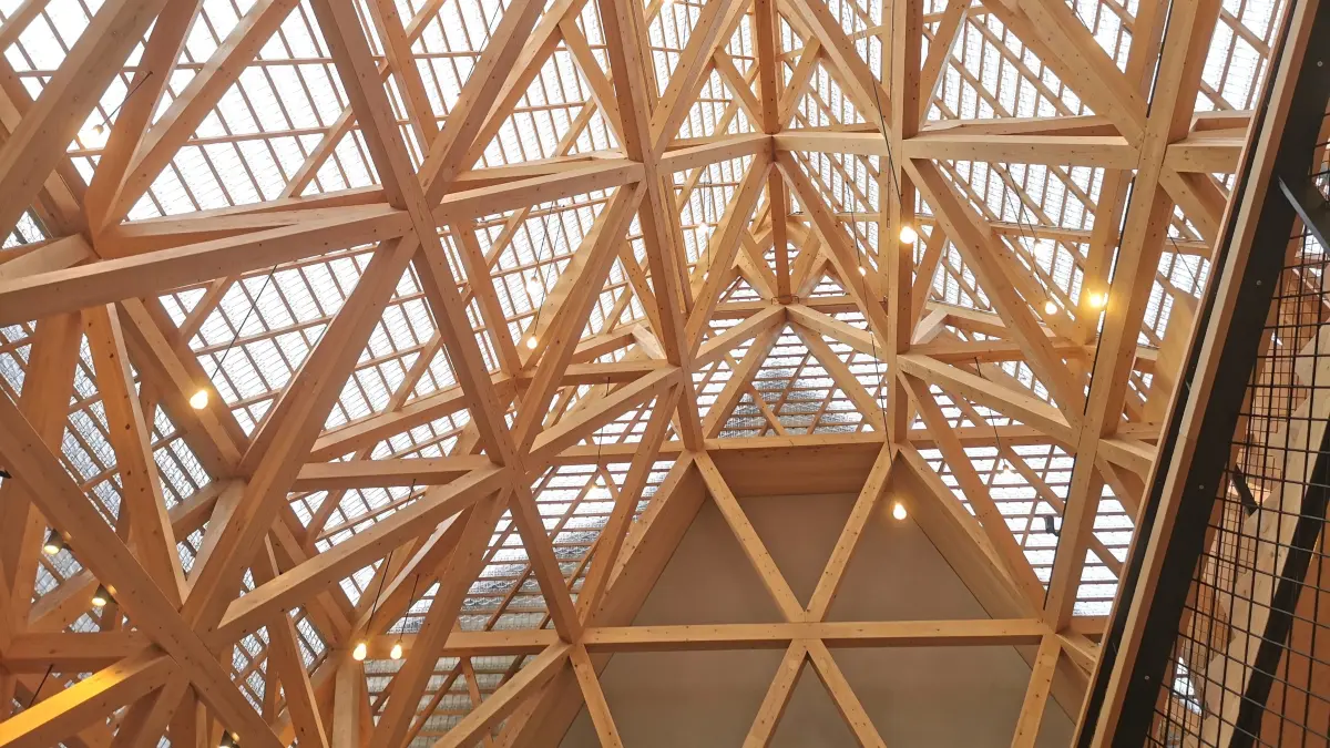 Für das Tragwerk des Reutlinger Glashauses sind Weißtannen aus dem Schwarzwald verwendet worden.
