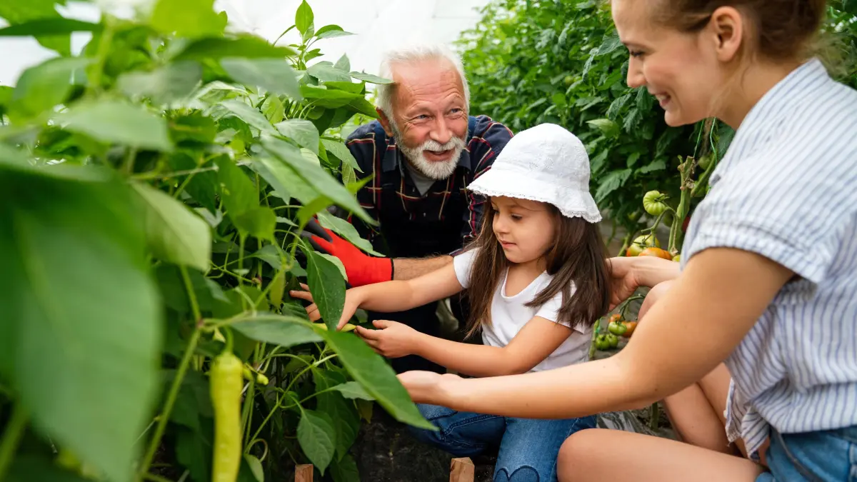 Damit generationenübergreifendes Zusammenleben in der Landwirtschaft gelingt, müssen alle an einem Strang ziehen.