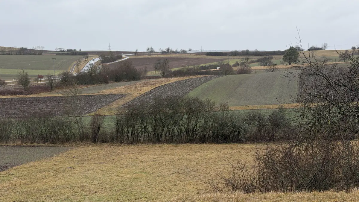 Entlang der Straße nach Hirrlingen soll auf Gemarkung Rangendingen ein Naturschutzgebiet eingerichtet werden.