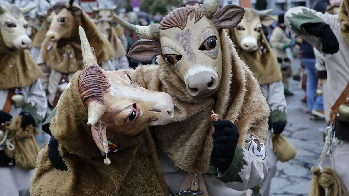 Närrische Rufe beim Fasnetumzug der von Mühlenhexen von Mühlhausen im Täle in Mühlhausen.: Närrisches Treiben beim traditionellen Fasnetsumzug der Mühlenhexen von Mühlhausen im Täle am Fasnetsamstag in Mühlhausen. Bei regnerischem und kaltem Wetter schlängelte sich der Fasnetsumzug mit insgesamt 53 Gruppen aus Narrenzünften und Guggenmusiker durch die Ortsmitte von Mühlhausen. Viele teils bunt Maskierte und Verkleidete Narren säumten den Weg des Fasetumzugs entlang der Umzugsstrecke in Mühlhausen und feierten anschießend ausgelassen im Hexenzelt.