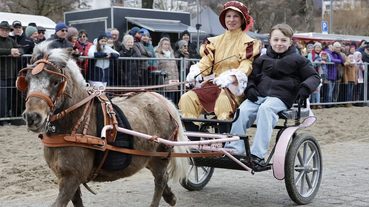 Geislinger Pferdemarkt mit über 80 Pferden und 25 Gespannen auf dem Gelände beim TVA in Altenstadt in Geislingen. Am Faschingsdienstag fand der traditionelle Pferdemarkt, mit seiner über 300-jährigen Geschichte statt. Prämierung der schönsten Pferde und Gespanne, Ausstellung landwirtschaftlicher Maschinen sowie ein Markt mit verschiedenen Verkaufsstände. Im Anschluss gab es Saure Kutteln, ein Traditionelles Gericht, in fast allen Gaststätten in und um Geislingen.