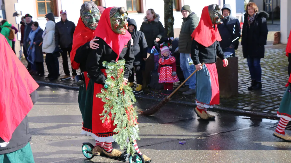 Umzug Dettensee Horb Fasnet