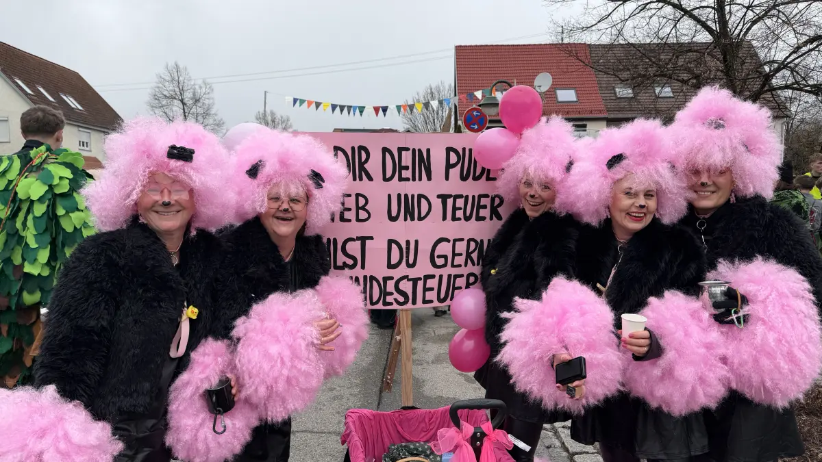 Umzug der Vereine in Rangendingen 2026