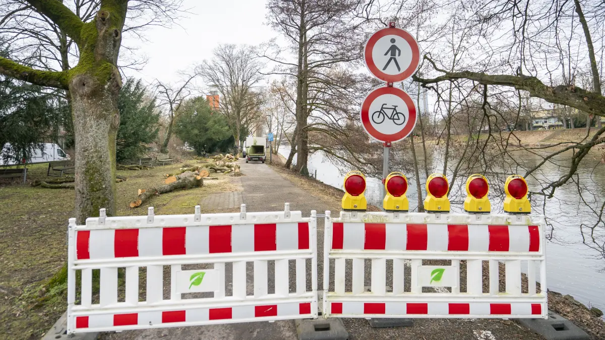 Neu-Ulm Bäume sind für einen neuen, breiteren Radweg gefällt worden .