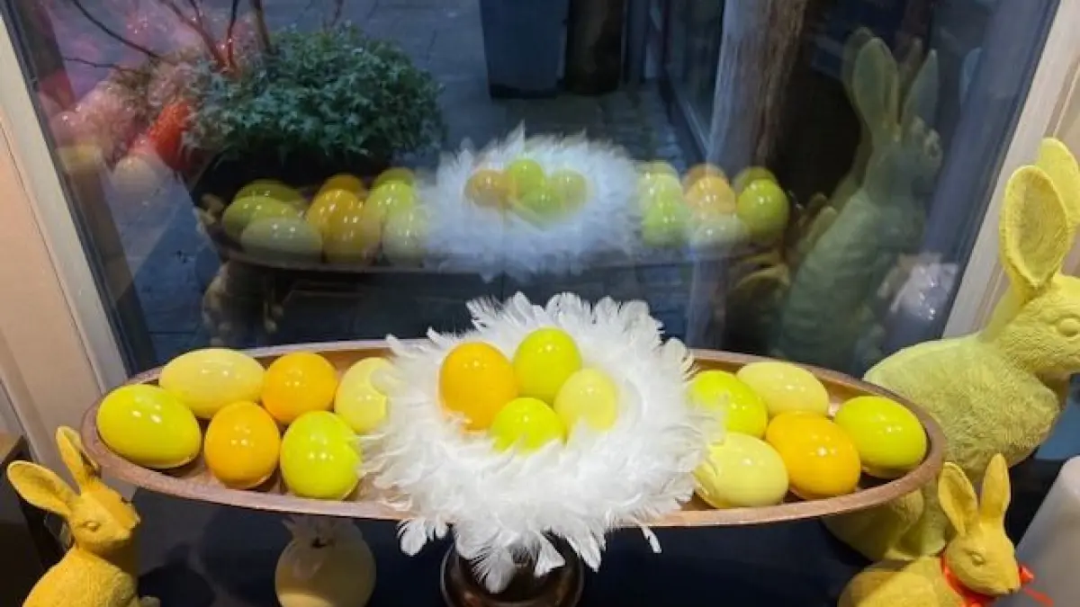 Lust auf Farbe? Bei Java Vision kann man jetzt im Frühling in frischen Farben schwelgen