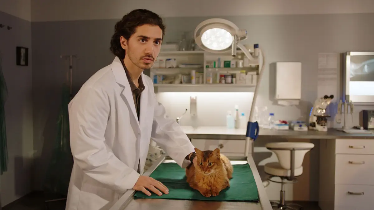 Kami Karner (Atrin Haghdoust) hilft Johanna bei der Untersuchung ihrer Katzenpatienten.