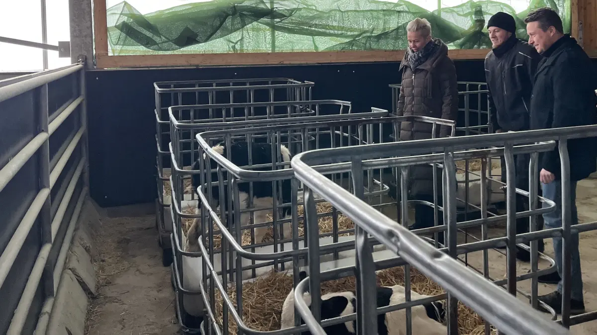 CDU Landwirtschafts-Dialog. Staatssekretärin Silvia Breher, Daniel Müller, Manuel Hailfinger (von links) bei den Kälbern im neuen Stall des Milchviehbetriebs Müller in Pfronstetten-Huldstetten.