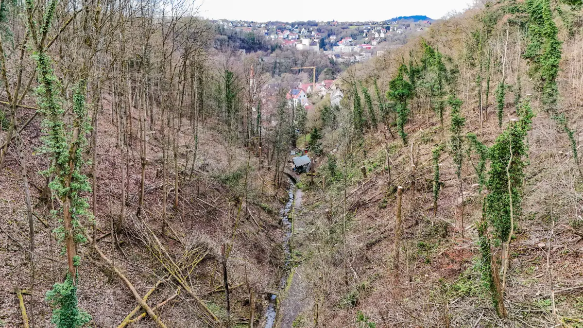 Badersklinge in Schwäbisch Hall kurz nach der Fällaktion mit Helikopter im Januar 2025