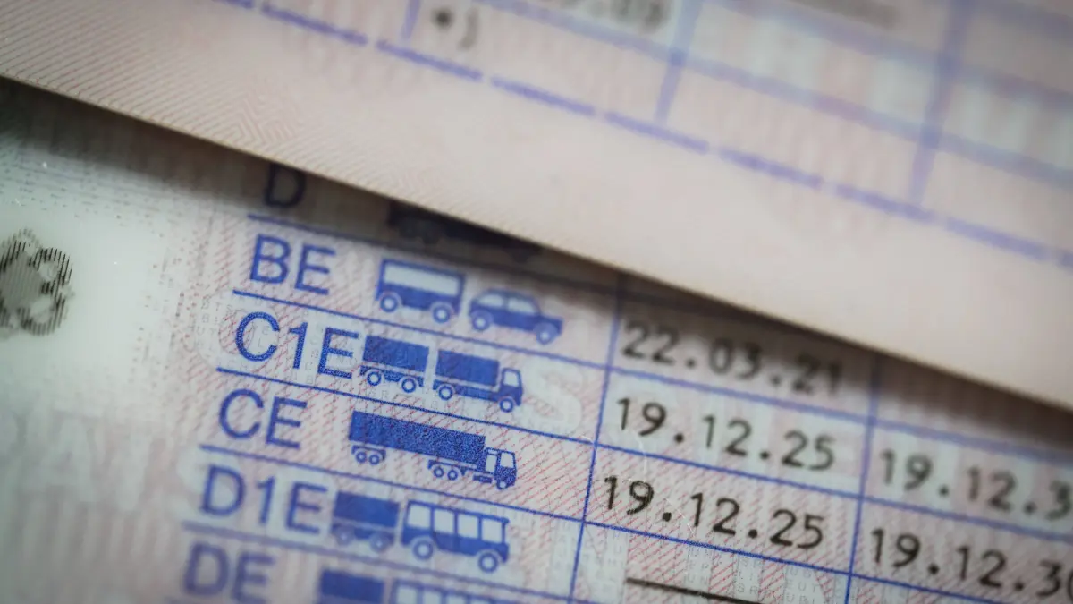 LKW-Führerschein: Symbolbild EU Führerschein mit Fahrerlaubnis der Klasse C1 C CE BE C1E . Führerschein Bundesrepublik Deutschland. EU-Richtlinie 2006/126/EG, 21.01.2026 LKW-Führerschein *** Symbolic image EU driving license with category C1 C CE BE C1E driving license Federal Republic of Germany EU Directive 2006 126 EC, 21 01 2026 Truck driving license
