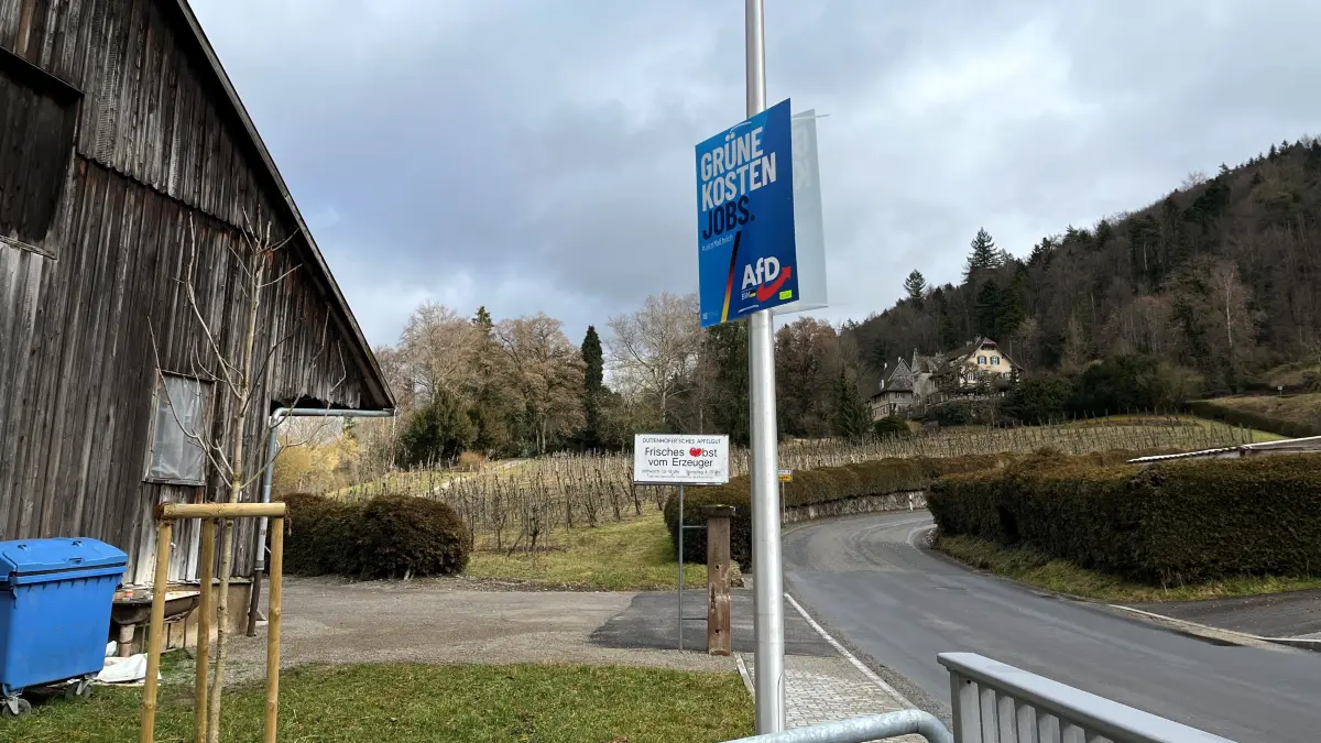 An einer öffentlichen Laterne, die auf dem Grund und Boden des Duttenhofer'schen Apfelgut steht, hängt seit Donnerstag ein Wahlplakat der AfD. Sehr zum Unmut der Hopfauer Fernsehköche Martina Meuth und Bernd "Moritz" Neuner-Duttenhofer.