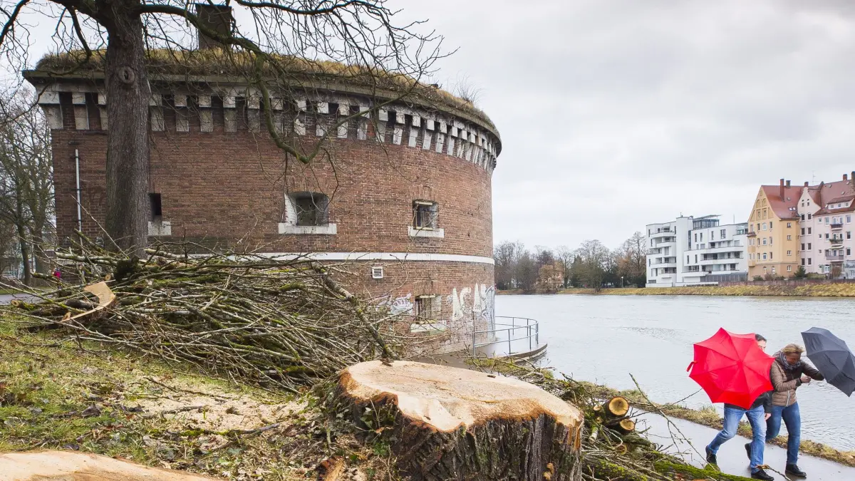 Spaziergang an der Donau bei Wind und Regen: Spaziergang an der Donau bei Wind und Regen