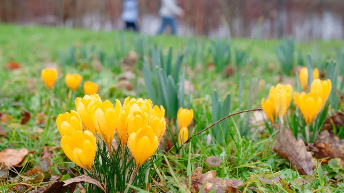 Wetter in Baden-Württemberg