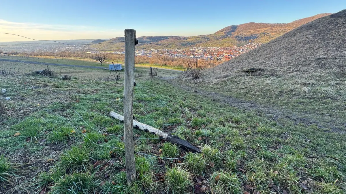 Schöne Aussicht in die Ferne, erstaunliche Spuren in der Nähe. Unbekannte sind mit einem Auto das Dettinger Calverbühl hinuntergefahren und haben dabei erhebliche Schäden angerichtet.