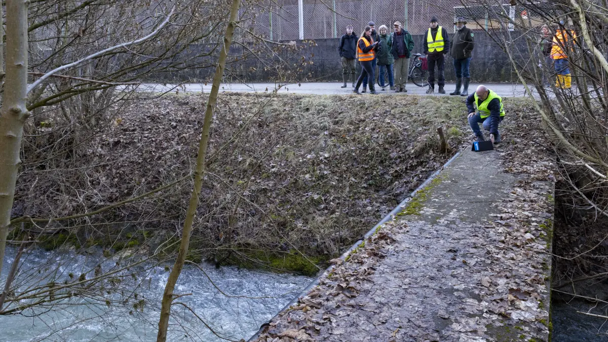 Geislingen, Gewässerschau entlang der Eyb