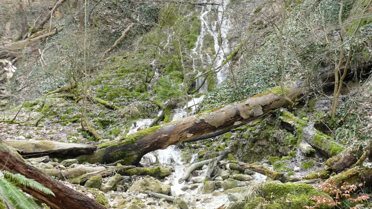 Wasserfälle im Autal