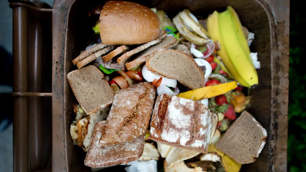 ARCHIV - 21.05.2015, Sachsen, Dresden: In einer braunen Biomülltonne liegen Lebensmittel wie Brot. (zu "Reduzierung von Lebensmittelverschwendung" vom 22.02.2019) Foto: Arno Burgi/ZB/dpa +++ dpa-Bildfunk +++