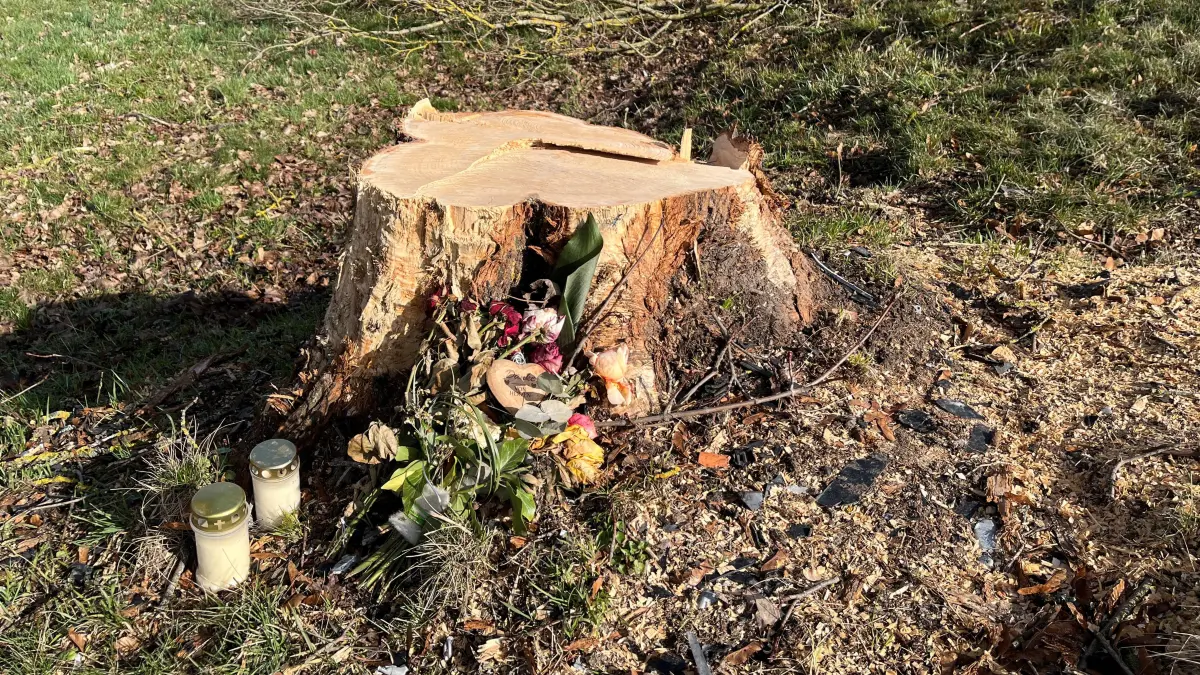 An den tödlichen Unfall auf der Kreisstraße 5502 zwischen Renfrithausen und Bergfelden erinnern noch Blumen und Kerzen. Am 15. Januar war ein Mann dort mit seinem Auto auf einen Baum geprallt. Er verbrannte in dem Wrack. Mittlerweile hat das Landratsamt den Baum fällen lassen.