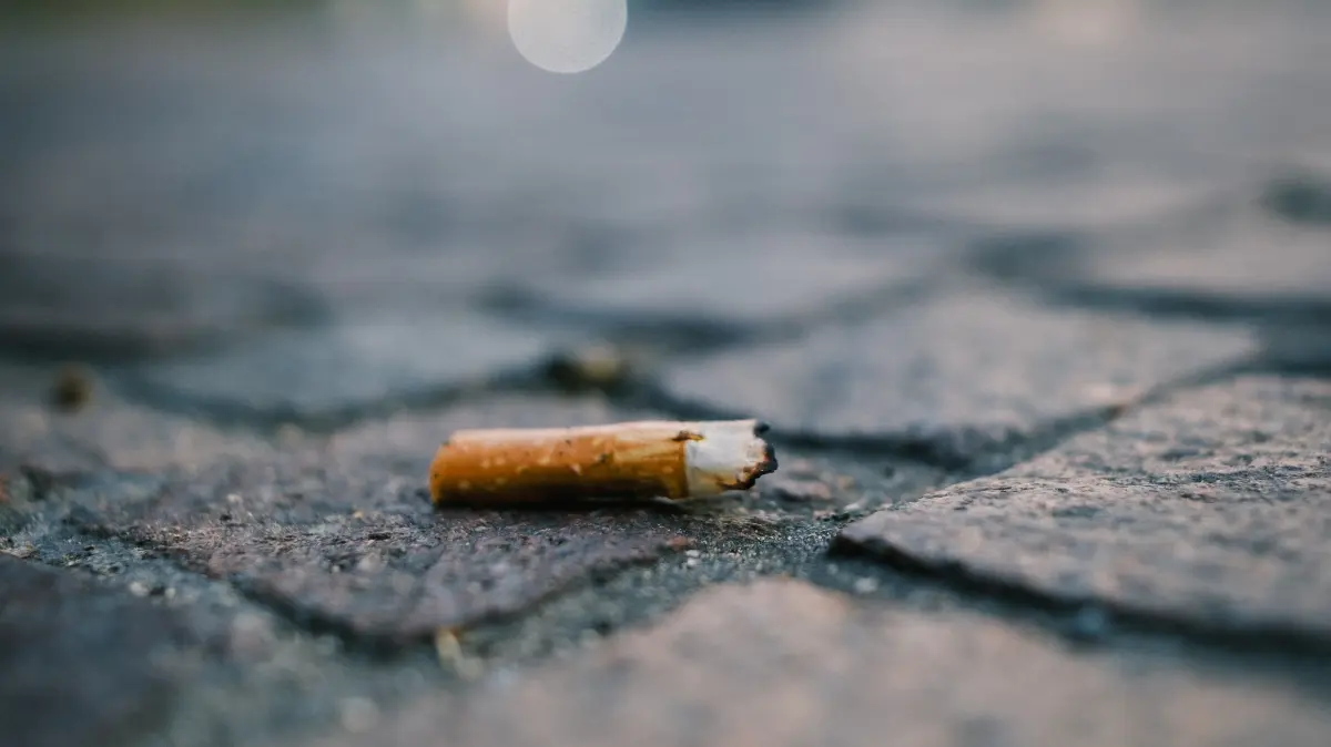 Kippen Zigaretten Rauchverbor