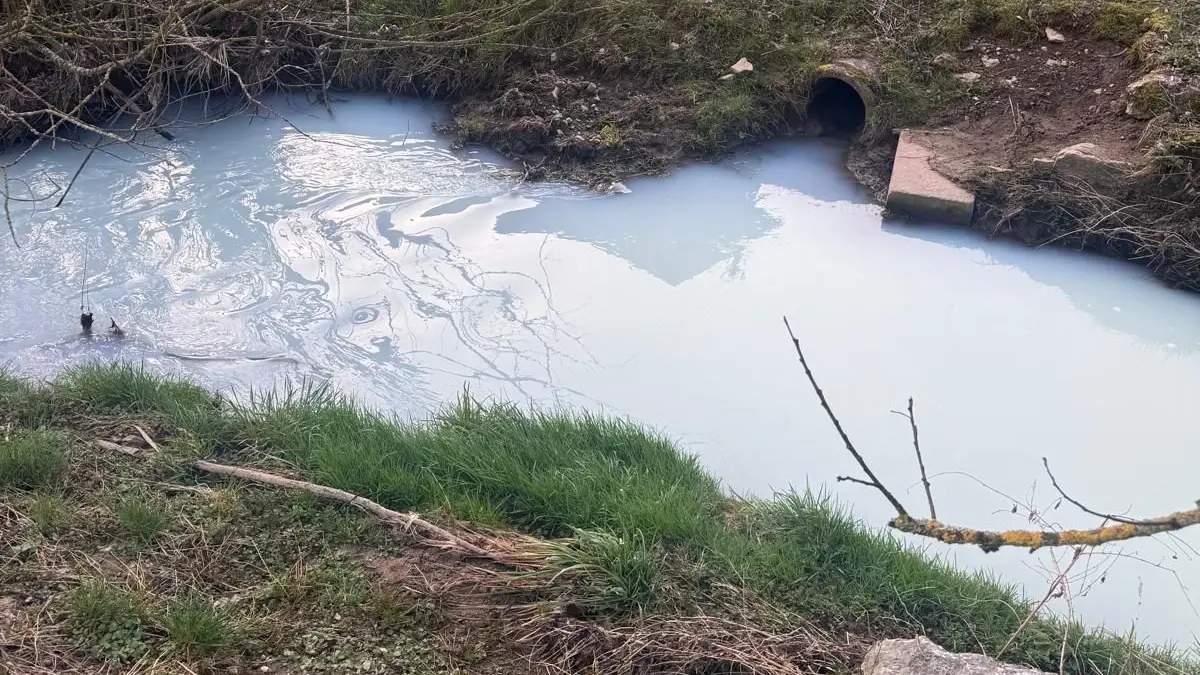 Tausende Liter Milch waren in die Steinach gelaufen.
