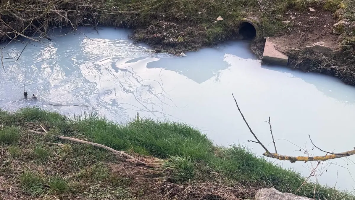 Tausende Liter Milch waren in die Steinach gelaufen.