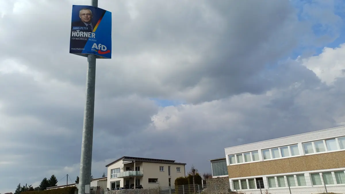 Wahlplakat AfD Landtagswahl 2026 Hörner Frommern