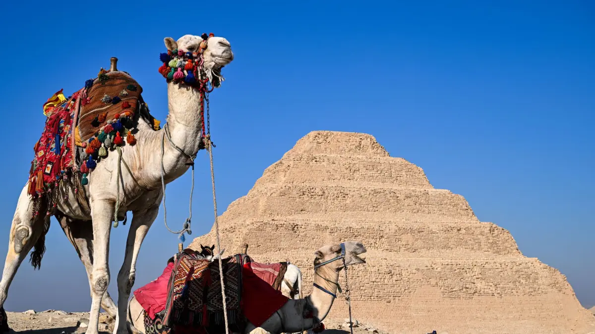 Nekropole von Saqqara: ARCHIV - 18.12.2025, Ägypten, Sakkara: Kamele sind vor der Stufenpyramide in der Nekropole von Sakkara zu sehen. (zu dpa: «Krieg im Nahen Osten – und der Urlaub geht weiter») Foto: Xin Mengchen/XinHua/dpa +++ dpa-Bildfunk +++