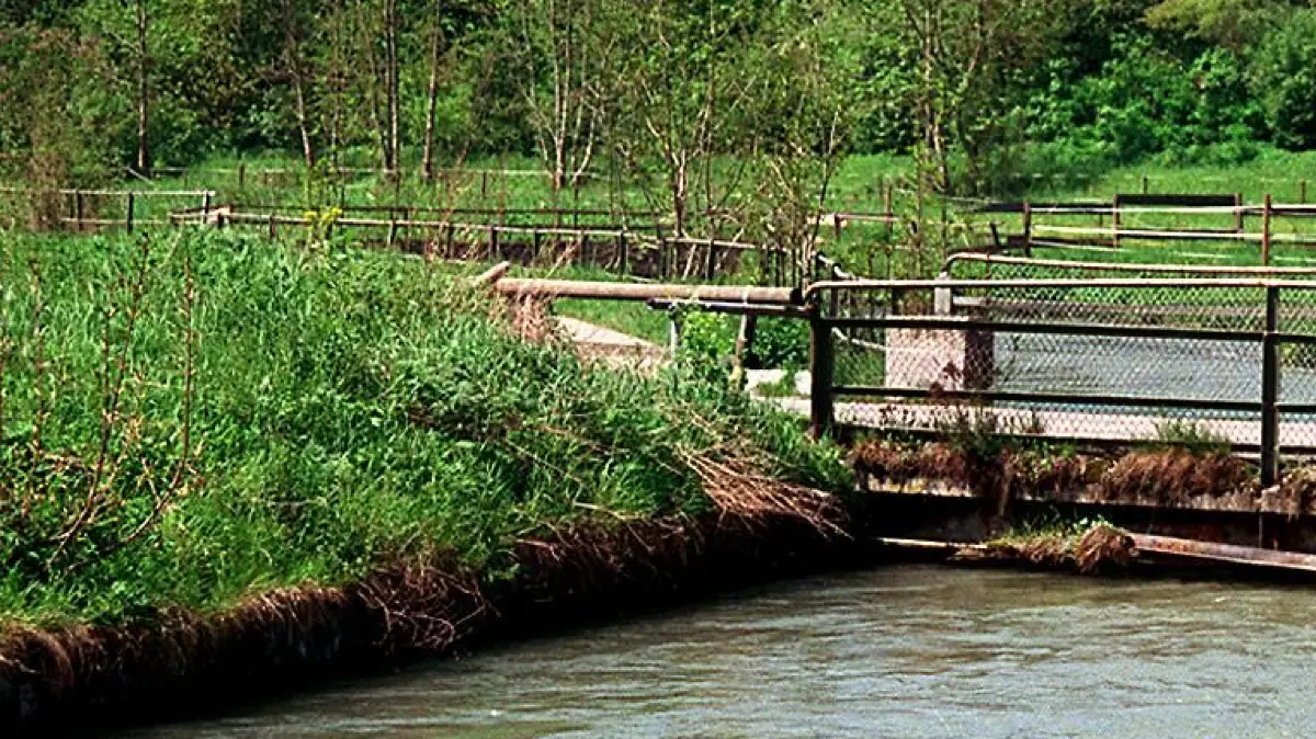 Illerzell, Brücke: Brücke über den Illerkanal. Während die Brücken im nördlichen Ortsteil jüngeren Baujahrs sind, rosten die Stege und Brücken im Süden still vor sich hin. Zwei Stege sind für Fußgänger wegen Einsturzgefahr bereits gesperrt.
