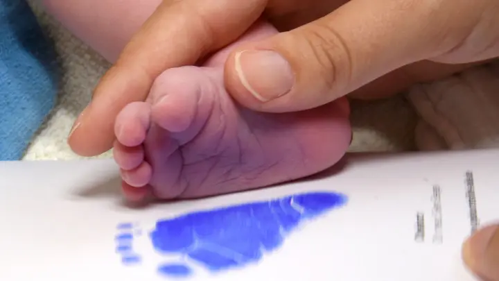 Stehen die Babylotsen vor dem Aus?