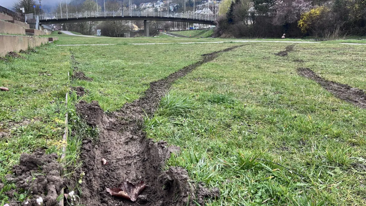 Tiefe Spuren im Rasen sind am Horber Neckarufer zu sehen.