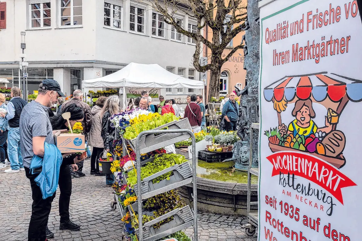 Wer am Freitag, 20., und Samstag, 21. März, in den teilnehmenden Rottenburger Geschäften einkauft, bekommt zum Dank einen Gutschein für ein Primele oder für Bellis geschenkt. Das Primel-Häuschen steht in diesem Jahr wieder auf dem Marktplatz. ⇥Fotos: WTG