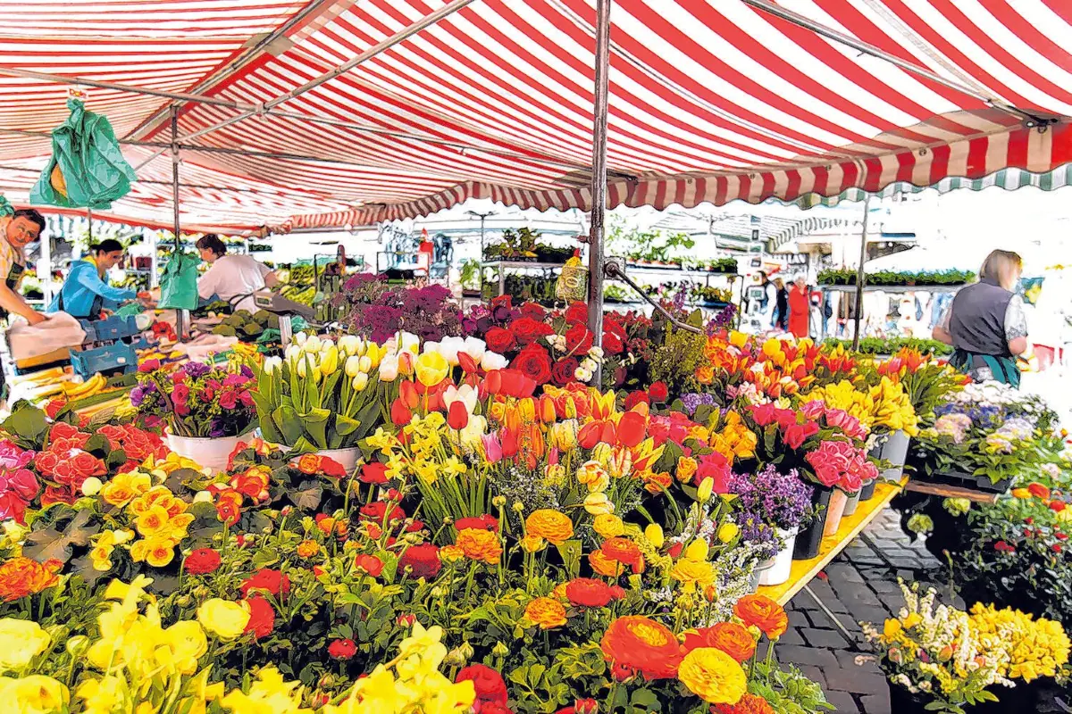 Frühlingsmarkt⇥Erich Sommer