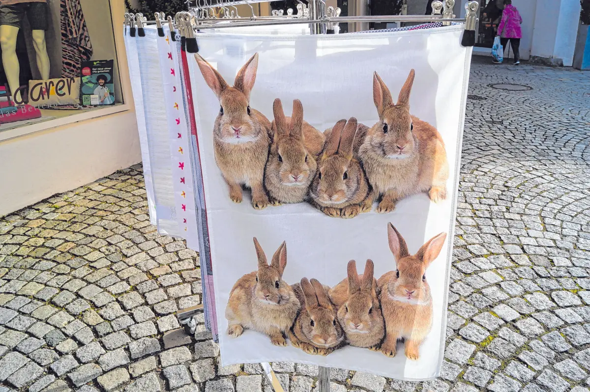 Fröhliche Farben in den Pflanzkübeln des HGV und Hasen, wo man hinsieht, wie hier vor der Firma Haarer: Ostern ist nicht mehr weit!⇥Fotos: Petra Starzmann