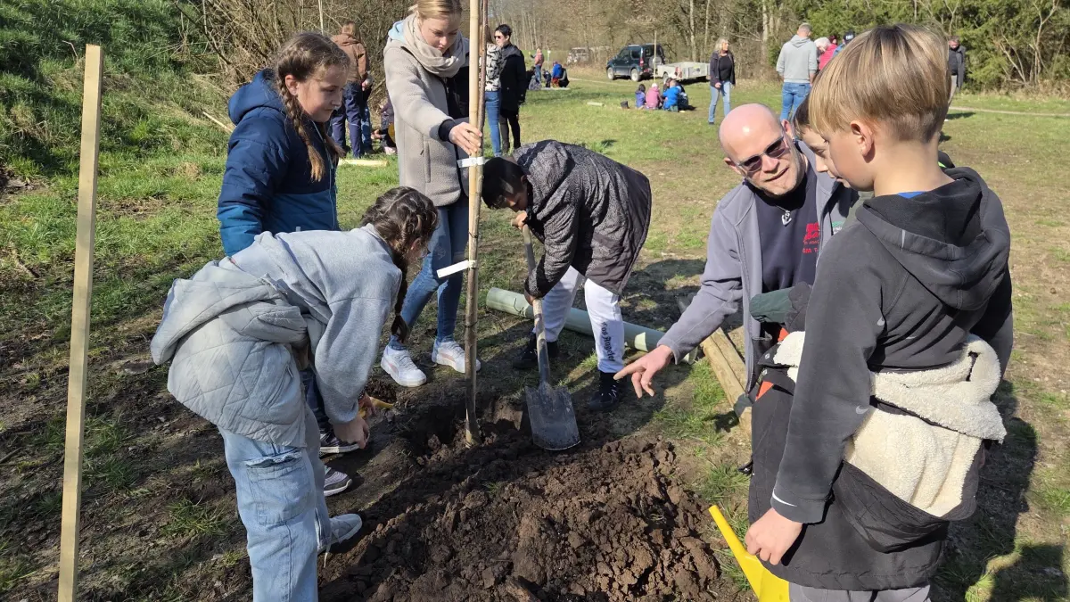 Hier am Loch und auch ringsum wird fleißig gearbeitet: Die Schülergruppe der "Naturforscher AG" mit Sozialarbeiterin Nadine Duske helfen HKV-Chef Jörg Weckler beim Einpflanzen der Elsbeere.