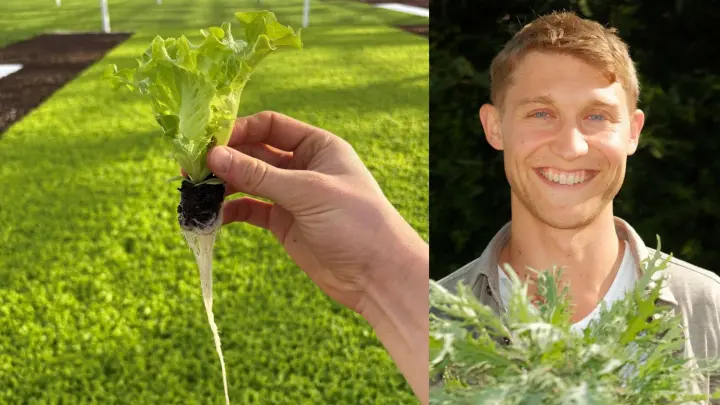 Schwimmender Salat – wie der Gemüseanbau in Bayern neu erfunden wird