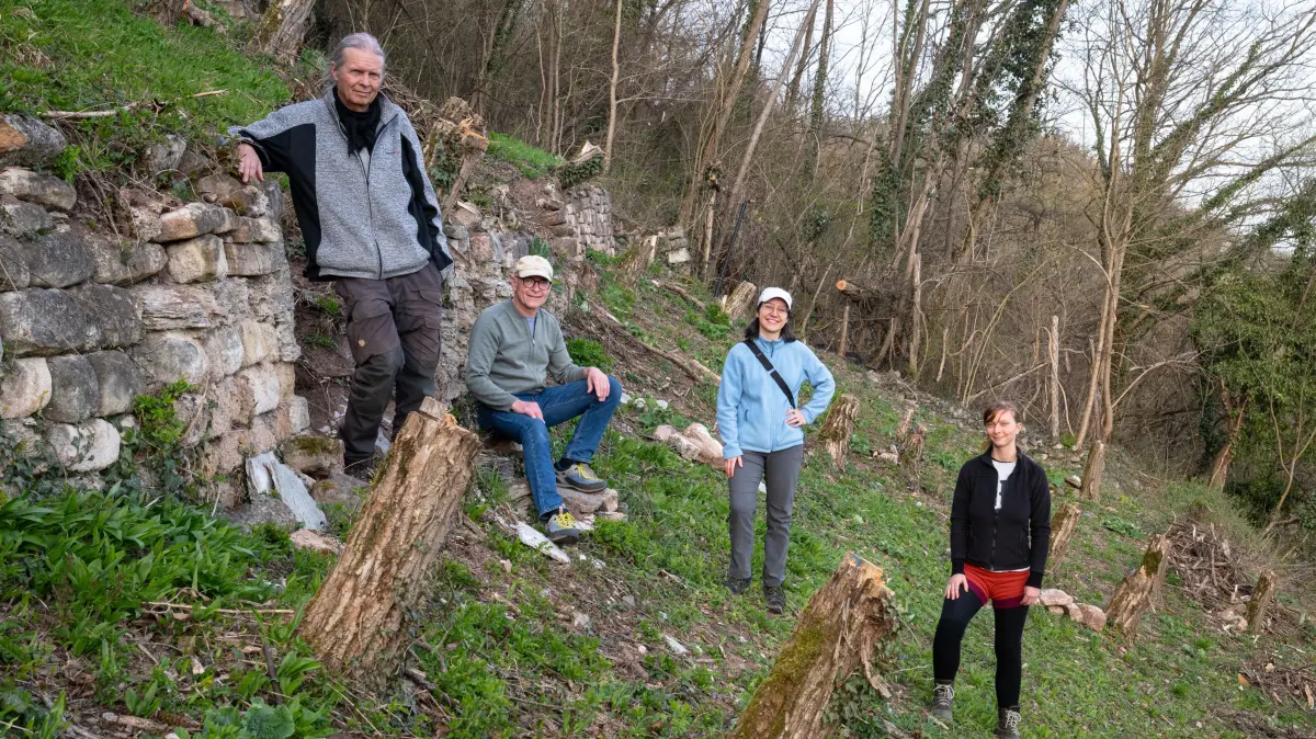 Am Spitzberg vor Hirschau