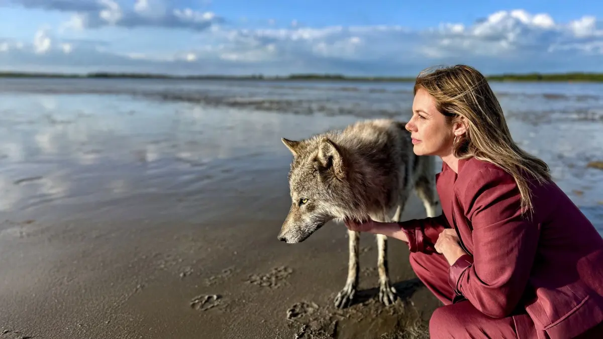 Beke (Felicitas Woll) sichtet am Elbdeich einen Wolf, der die Jorker Bevölkerung in zwei Lager spaltet. Die einen würden ihn am liebsten sofort erschießen, die anderen verteidigen ihn.