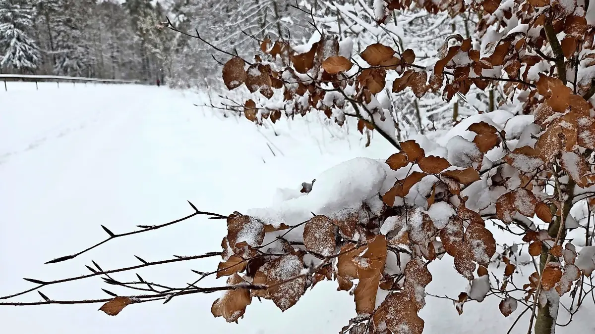 Es sind einige Zentimeter Schnee gefallen im Zollernalbkreis.