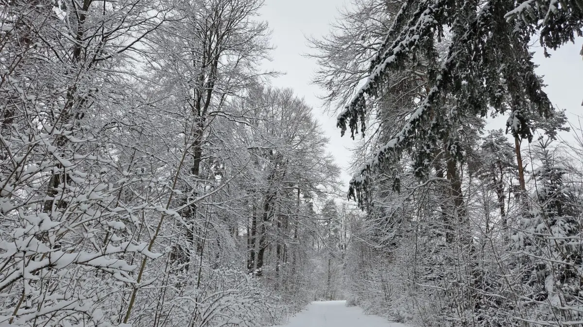 Alles weiß in Albstadt: Hier liegt reichlich Schnee.