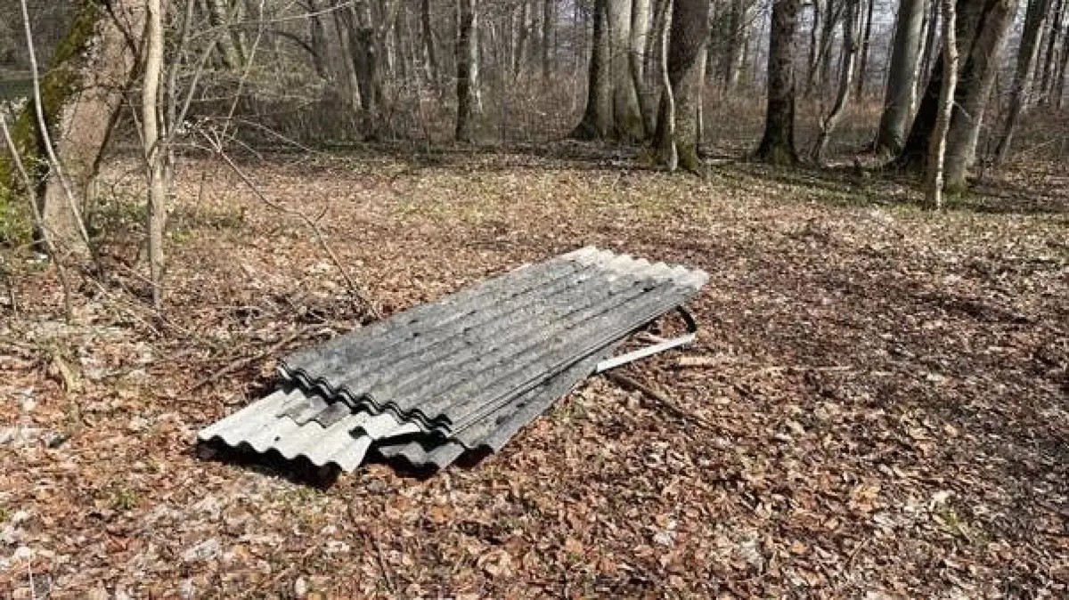 Die Asbestplatten hat ein Unbekannter im Wald bei Oberböhringen einfach abgeladen.