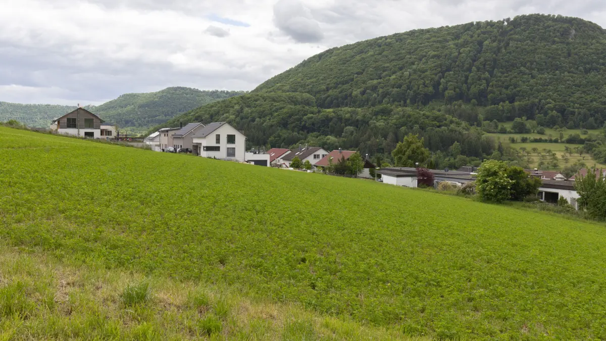 Am Ortsrand von Hausen will die Gemeinde Bad Überkingen am Viehweg neues Bauland ausweisen