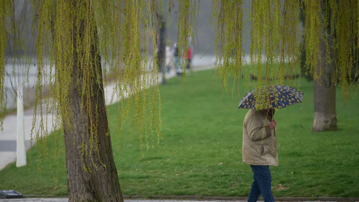 Wetter: ARCHIV - 19.03.2023, Rheinland-Pfalz, Koblenz: Ein Mann spaziert bei Regen durch die Koblenzer Rheinanlagen. (zu dpa: «Unbeständiges Wetter in Rheinland-Pfalz und im Saarland») Foto: Thomas Frey/dpa +++ dpa-Bildfunk +++