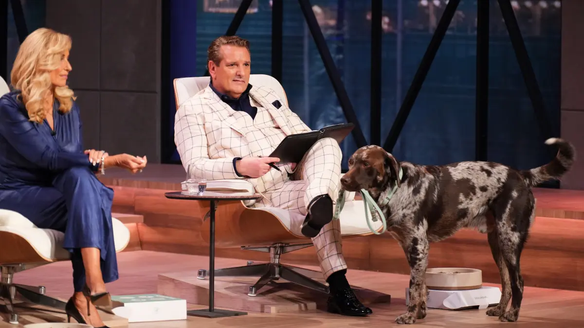 Milo versucht, die Löwinnen und Löwen mit seinem Charme zu überzeugen.