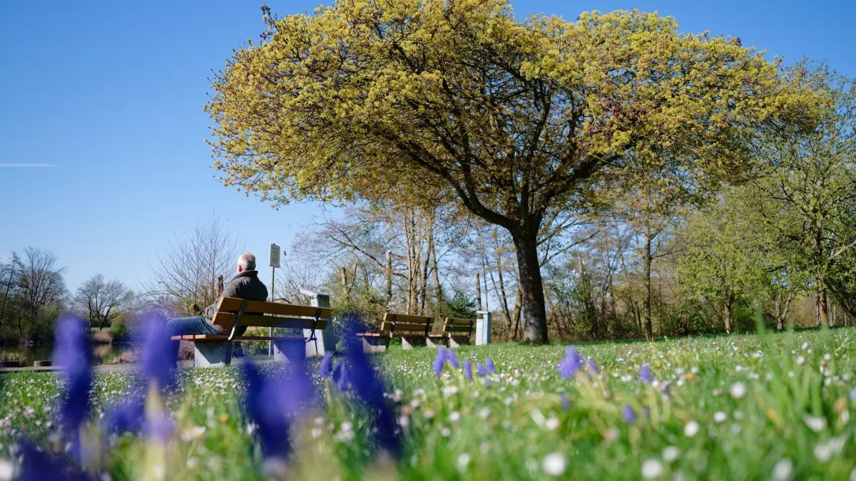 Wetter in Baden-Württemberg: 02.04.2026, Baden-Württemberg, Mannheim: Ein Mann sitzt an einer blühenden Wiese auf einer Parkbank. Foto: Uwe Anspach/dpa +++ dpa-Bildfunk +++