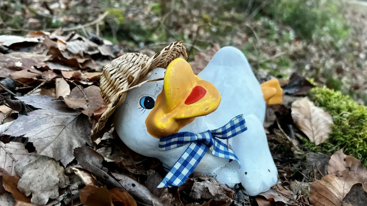 Am Sträßlein nach Niederwindern grüßt seit einigen Tagen auf einem Baumstumpf diese Ente