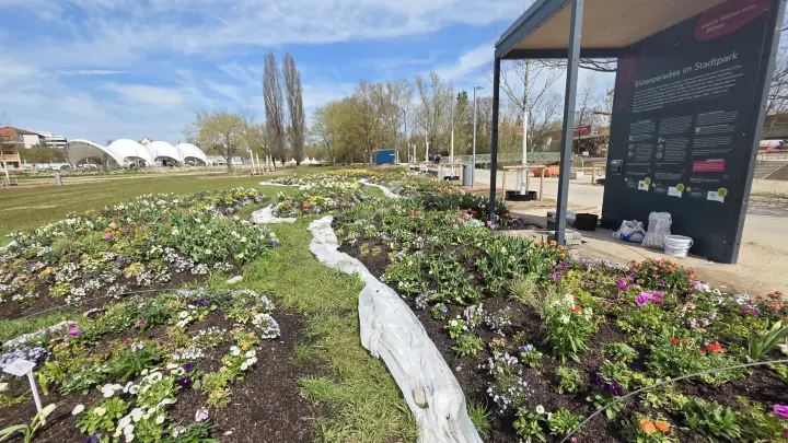 Entlang der Jagst warten bei der Landesgartenschau viele Überraschungen