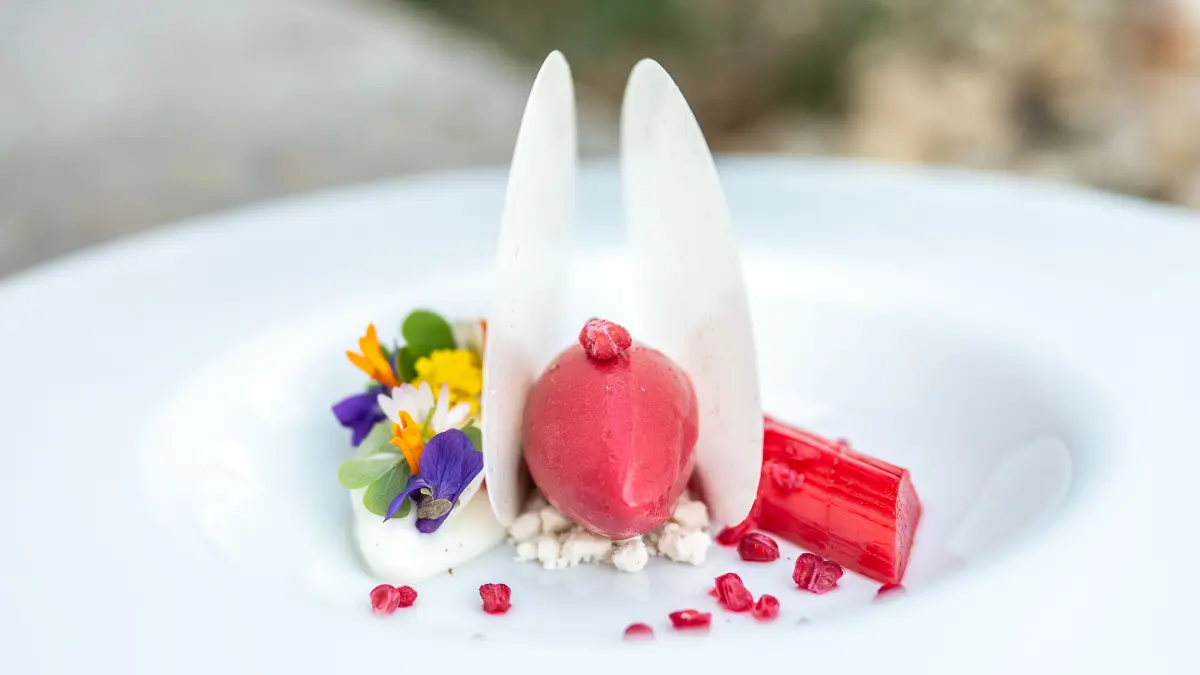 Rhabarber mit Rosenblüte