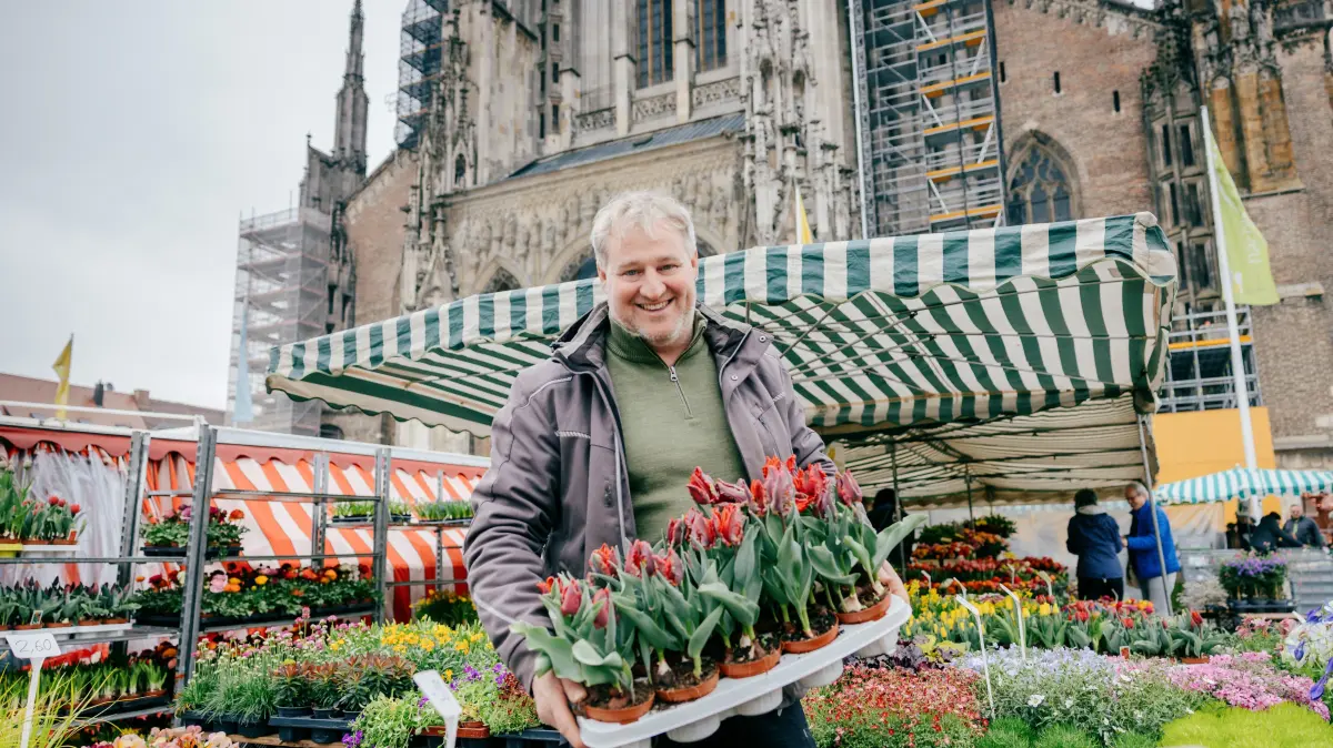 Wochenmarkt zumt Thema Frühjahrsblüher, Stand Gärtnerei Klimmer, Foto von Inhaber Christian Klimmer mit Frühjahrsblühern (Lieblingsblume Ranukel und Tulpe)